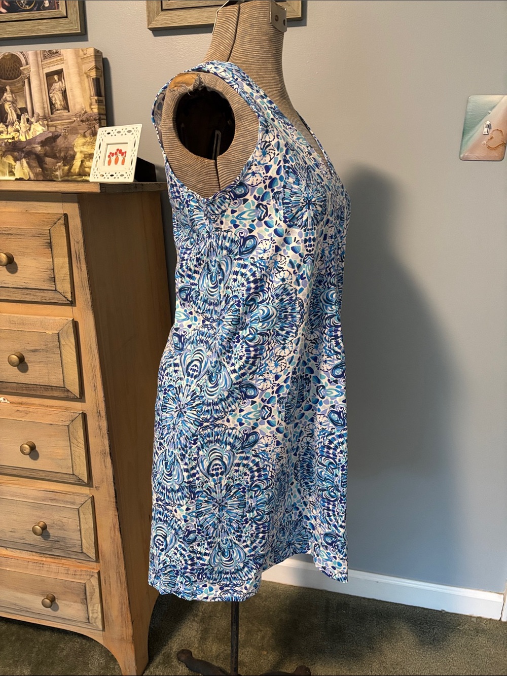 Lilly Pulitzer Blue and White V-Neck Sleeveless Mini Cotton Dress - Picture 3 of 7